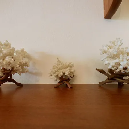 בית נופש Grandma's Garden חאניה