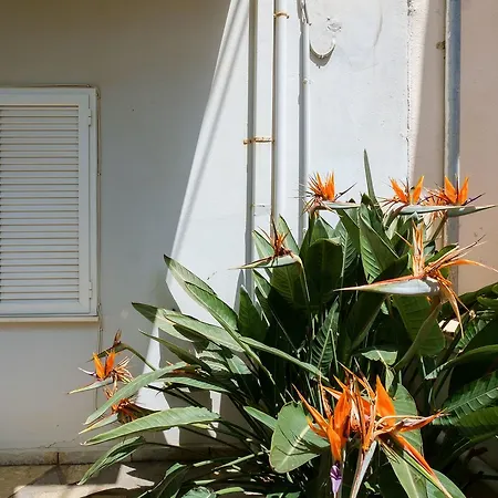 בית נופש Grandma's Garden