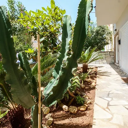 Grandma's Garden * Χανιά